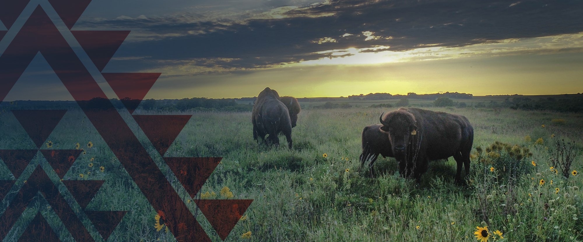 Flandreau Santee Sioux Tribe Housing Department